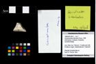 Foto (Objekt + Etikett) von Goniodromites bidentatus (Reuss, 1858)  (NHMW-GEO-1990-0041-2675)